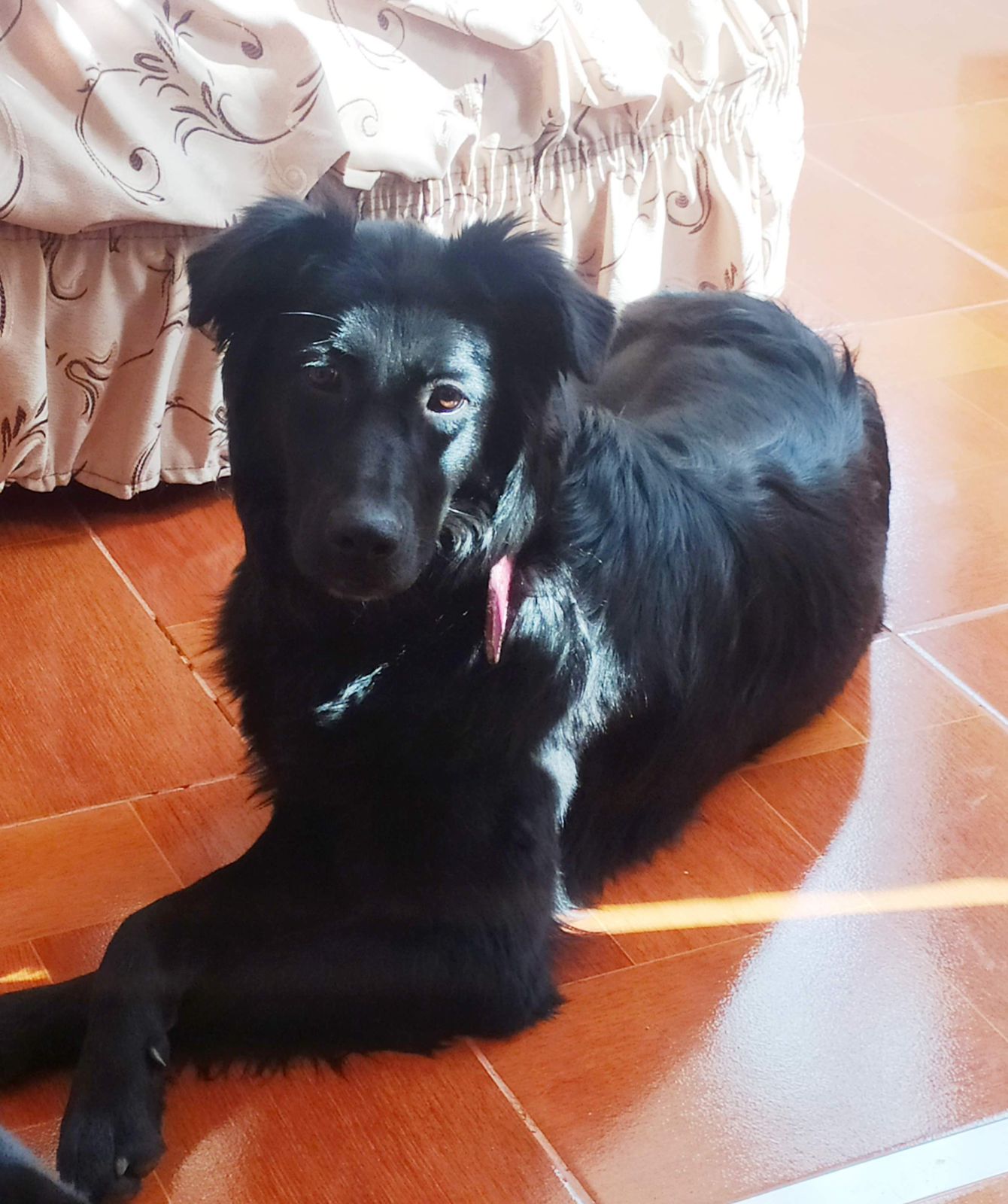 Foto de Luna